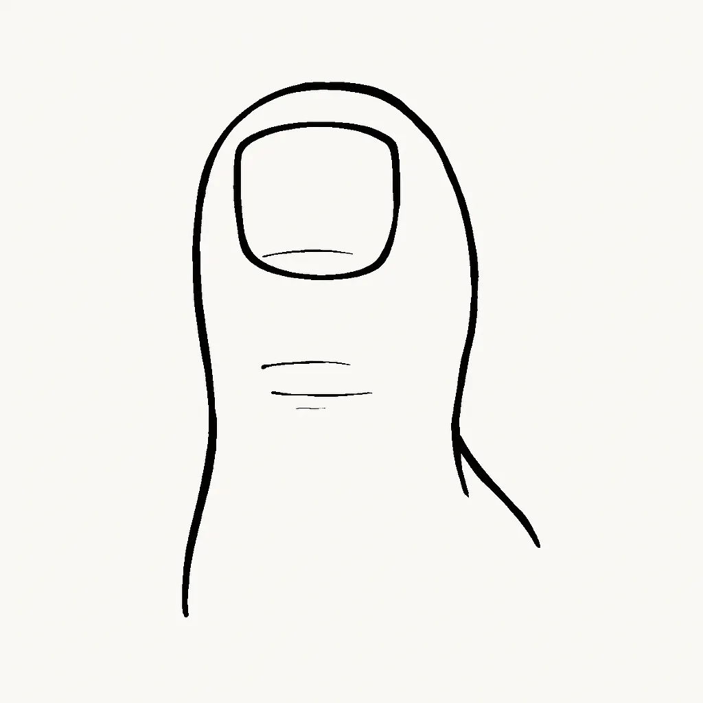 Ilustrace znázorňující téma: Připravované články