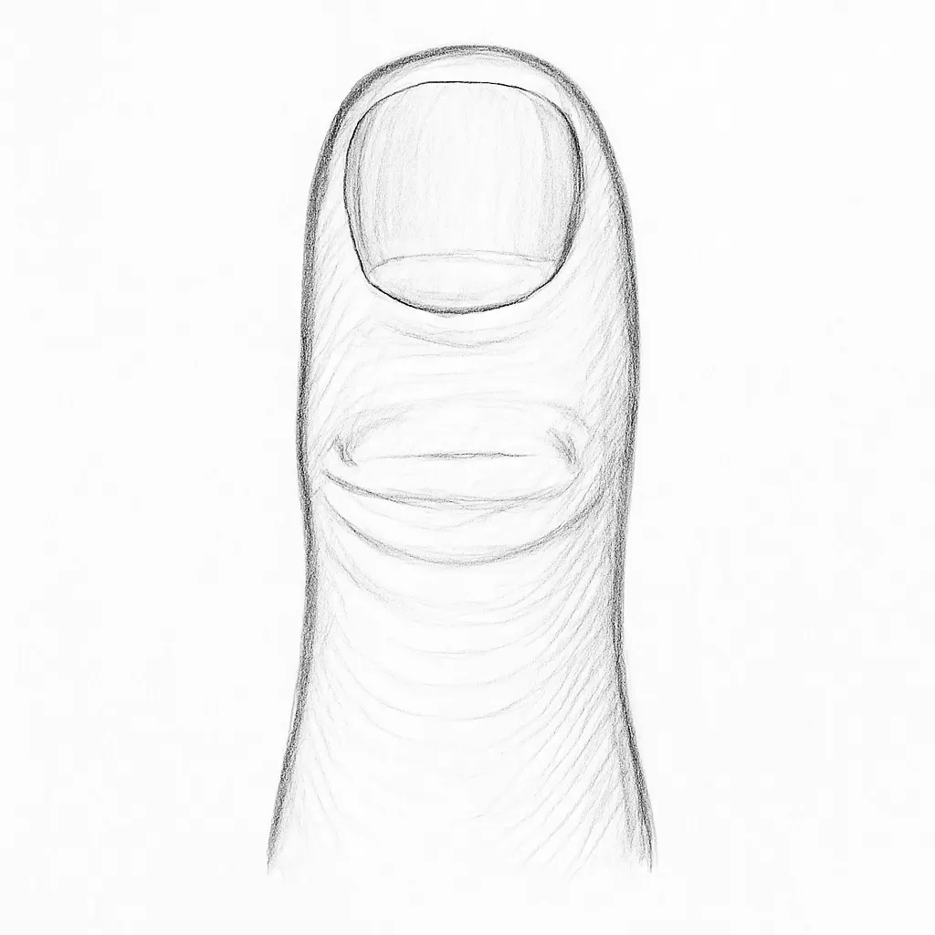 Ilustrace znázorňující téma: Připravované články